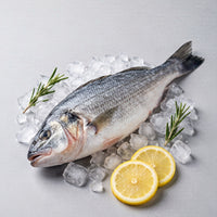 Sea Bream